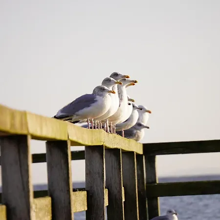 Apartament Spaltsberg Am Binnenwasser *